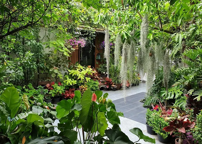 37 Nature House