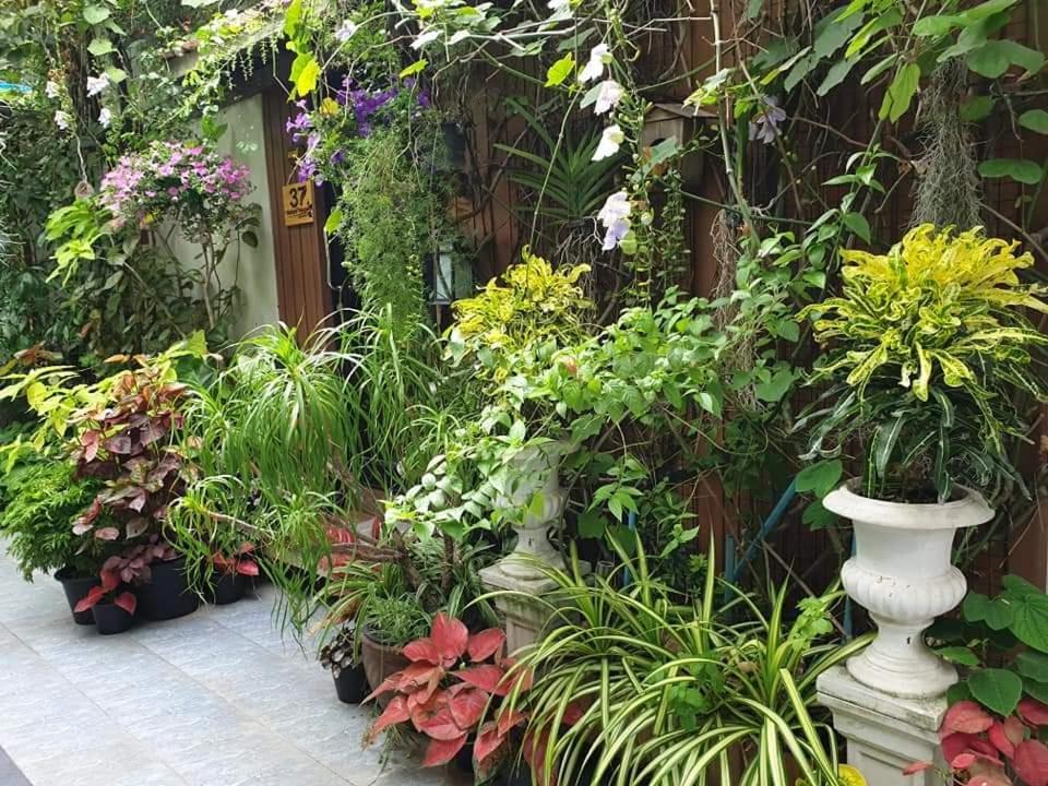 37 Nature House Alloggio in famiglia